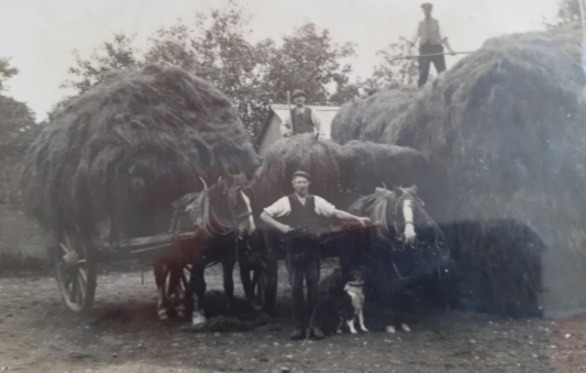 Photo of Hay making in Bitteswell circa 1910