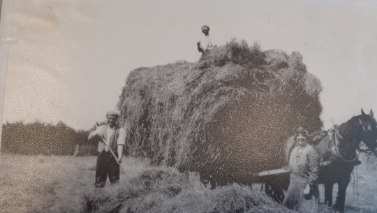 A black and white photo of two male and one female farm worker gathering hay and piling it on to a horse and cart.